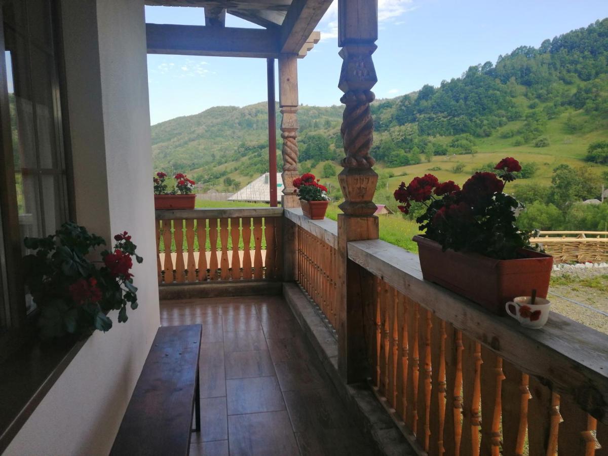 Pensiunea Plai Strabun Strîmtura Buitenkant foto